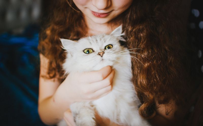 Kočka a dívka